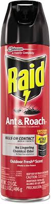 RAID H/C OUTDOOR FRESH