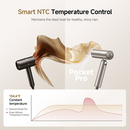 Pocket Pro High Speed Hair Dryer