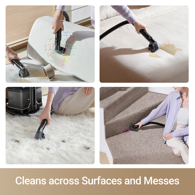 N10 Portable Carpet Spot Cleaner (for Business)
