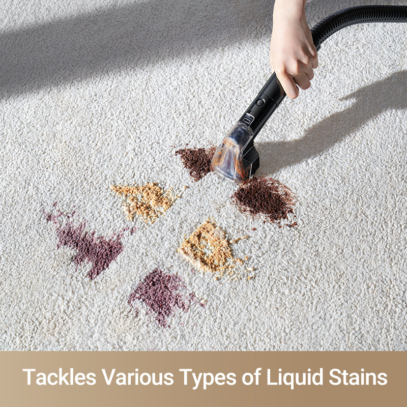 N10 Portable Carpet Spot Cleaner (for Business)