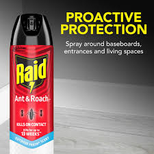 RAID H/C OUTDOOR FRESH
