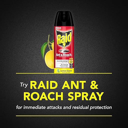RAID H/C LEMON