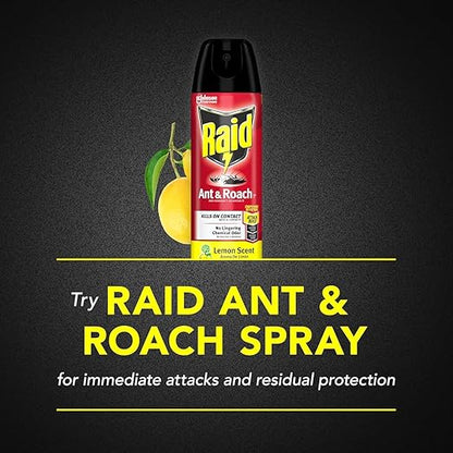 RAID H/C LEMON