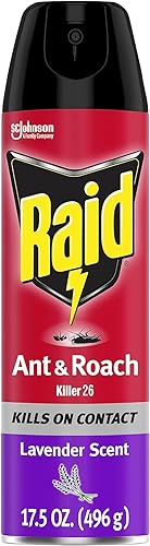 raid h/c lavender