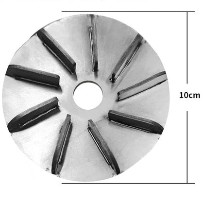 Labor-Saving Pig Hair Remover Scraper Disc